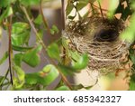 Nest  Birds  Farm  Merces ...