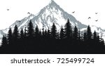 hand drawn vector nature... | Shutterstock .eps vector #725499724