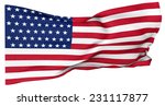 american flag in the picture... | Shutterstock . vector #231117877