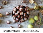 Small photo of Chestnuts. Buckeyes. Autumn mood. Leaves of a chestnut tree.