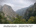Small photo of The Bode Gorge, Germanys Grand Canyon in the Harz