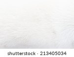white fur close up