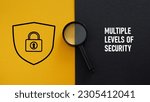 Small photo of Multilevel Security or Multiple Levels of Security MLS