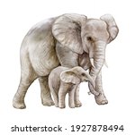 African Elephant With A Child....