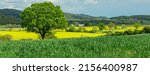 Small photo of Panoramic view of the beautiful countryside around the rural hamlet of Kilburn, near Thirsk in North Yorkshire, with large oak tree surrounded by colourful growing crops, barns and green fields.