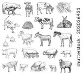 Mammals. Hand Drawing Set Of...