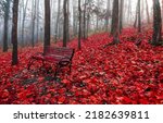 Red autumn leaves around a...