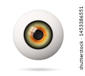 Realistic Human Eyeball. The...