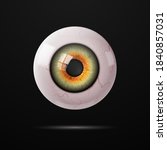Human Eye With Veins On A Dark...