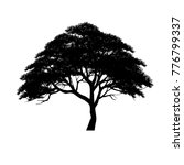 vector of tree  silhouette... | Shutterstock .eps vector #776799337