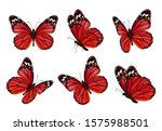 Butterflies. Realistic Colored...