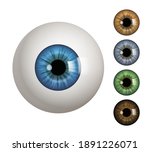 Human eyeball. People anatomical items macro view vision 3d medical decent vector symbols