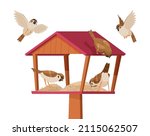 Sparrows In Birdhouse. Chirp...