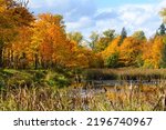 Fall colors in rich yellow and orange surround a pond in the Snoqualmie Valley