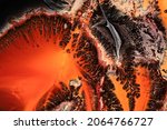 fluid art. abstract background... | Shutterstock . vector #2064766727