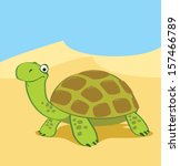 Desert Tortoise Clip Art, Vector Desert Tortoise - 48 Graphics - Clipart.me