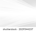 abstract white and grey color... | Shutterstock .eps vector #2029544237