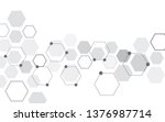 abstract hexagon on white... | Shutterstock .eps vector #1376987714