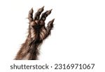 furry scary monster  werewolf paw  3d render illustration