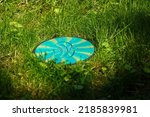 Colored discgolf disc lying in the grass