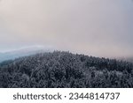 Germany, Beautiful snowy trees in endless black forest schwarzwald nature landscape panorama aerial view near freiburg im breisgau