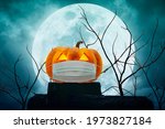 Halloween Jack O Lantern...