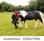 Small photo of A woman leads her skewbald Irish Gypsy Cob horse in a grassy field. In the background are trees and shrubs.
