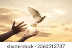 Small photo of Praying hands and white dove flying happily on blurred background. hope and freedom concept.