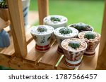 a cactus in the corner of the... | Shutterstock . vector #1787566457
