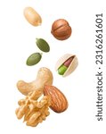 Small photo of Peeled peanut, hazelnut, green pumpkin seeds, pistachio, cashew, walnut and almond isolated on white background. Nuts flying for vertical layout. Package design element with clipping path