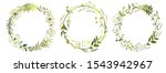 set of circle floral frame... | Shutterstock .eps vector #1543942967