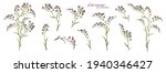 set of lilac limonium branches. ... | Shutterstock .eps vector #1940346427
