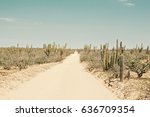 An Abandoned Desert Road...