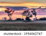 Sunrise Over The Okavango Delta ...