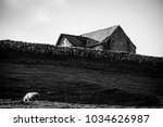 Sheep By The Stone Wall And A...