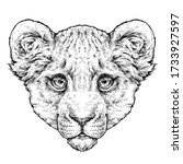 Hand Drawn Portrait Of Lion Cub ...