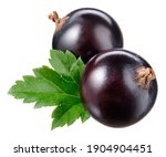 Black currant isolate. Currant black berries isolated on white background with clipping path. Full depth of field.