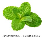 Mint leaves. Fresh mint on white background. Mint leaf isolated. Full depth of field. Perfect not AI mint leaf, true photo.