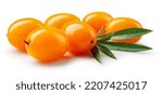 Small photo of Buckthorn isolated. Sea buckthorn with leaves on white background. Buckthorn with clipping path. Full depth of field.