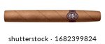 Realistic Vector Cigar Isolated ...
