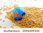 Small photo of Wheat grains next to the globe in miniature. The concept of harvest, export, import, drought in hot countries. Bread shortage. Copy space