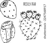 Prickly Pear Fruit Black And...