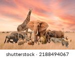 Group Of Safari African Animals ...