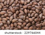 Closeup On Pecan Nuts Stacked...