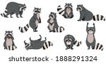 Funny Raccoon With Dexterous...