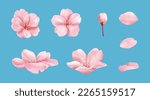 Pink cherry blossom element set isolated on light blue background. Including flower blossoms, petals, and bud.