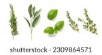Small photo of fresh mediterranean herbs isolated over a white background rosemary, sage, basil and thyme, farm fresh food and healthy diet herbal design elements