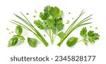 Small photo of Fresh organic herbs and spices element or ornament isolated over a white background, arranged bunches, leaves and blades and chopped pieces of parsley, chives, basil and mint, top view, flat lay