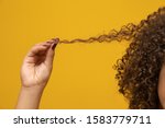 Small photo of Close-up American African woman pulling a lock of hair. Curly hair on yellow background.
