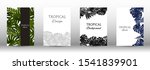tropic covers set.  tropical... | Shutterstock .eps vector #1541839901